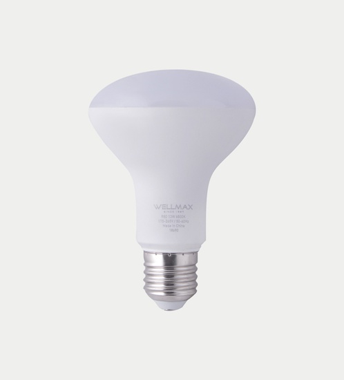 WELLMAX  R80 LED Bulb 13w - Day light