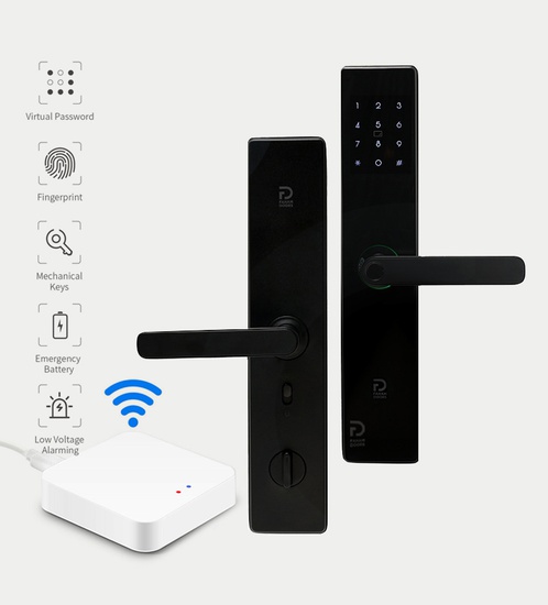 FD Smart Lock with Smart gateway With installation