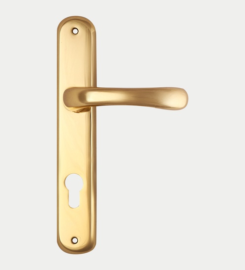 FBA Alba Brass Door Handle