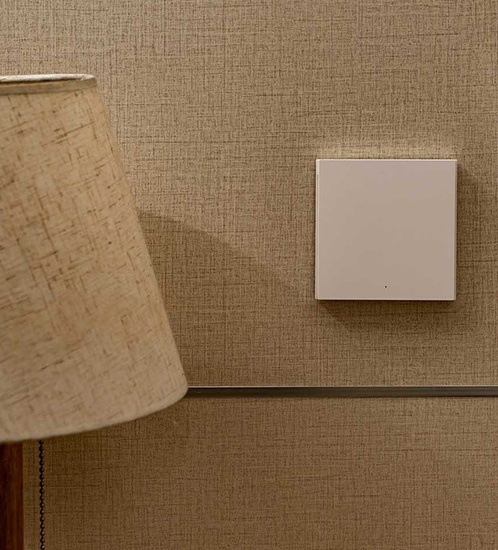 Aqara Smart Wall Switch (With Neutral, Single Rocker) - with installation