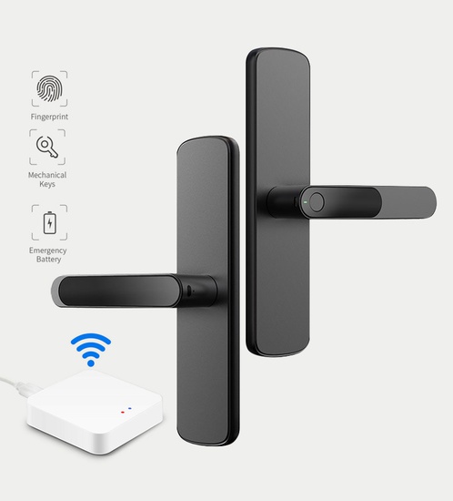 FD Smart lock WiFi + Bluetooth