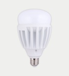 FSL LED 30w High power bulb