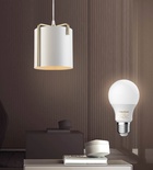 Pendant lamp with bulb