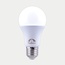 Familycare LED 11w Bulb - Cool light
